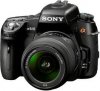 Sony Alpha DSLR_A560.jpg