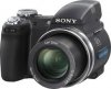 Sony Cyber_shot DSC_H5.jpg