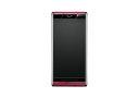 Vertu_aster_raspberry.jpg