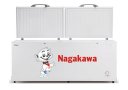 Nagakawa_na915m_1.jpg