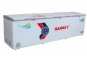 Sanaky_vh_1399hy_1.jpg