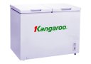 Kangaroo_kg_488c2_1.jpg