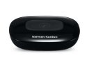 Harman_Kardon_Adapt_3.jpg