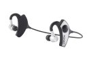 Denon_AH-W200_1.jpg