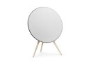 Bang-olufsen_Beoplay_A9_1.jpg