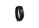 Garmin_vivofit_2.jpg