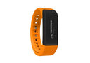 SKY-Devices-FITBAND-1.jpg