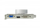 Gainward_geforce_gt_610_1024mb_silentfx_3.jpg