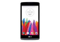 Lg_leon_h345_1.jpg