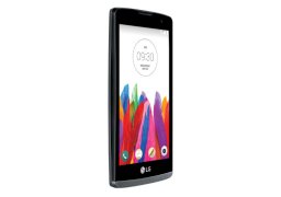 Lg_leon_h345_2.jpg