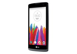 Lg_leon_h345_3.jpg