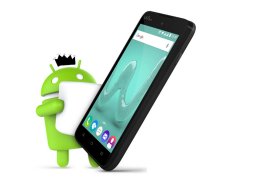 Wiko_sunny_2.jpg