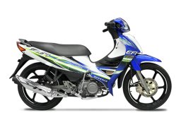 Modenas_118_efi_3.jpg