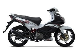 Modenas_ace_115_3.jpg