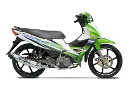 Modenas_118_efi_2.jpg