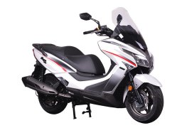 Modenas_elegan_250_2.jpg