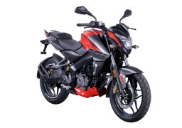 Modenas_pulsan_ns_200_2.jpg
