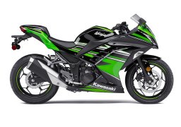 Kawasaki_ninja_300_abs_krt_edition_2017_2.jpg