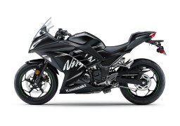 Kawasaki_ninja_300_abs__winter_test_edition_2017_3.jpg