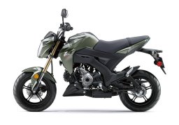 Kawasaki_z125_pro_2018_6.jpg