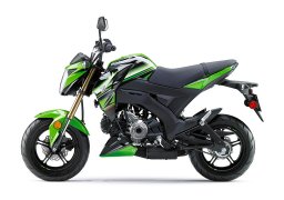 Kawasaki_z125_pro_krt_edition_2018_3.jpg