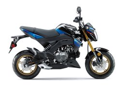 Kawasaki_z125_pro_se_2018_2.jpg