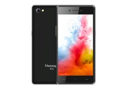 Massgo_vi2_1.jpg