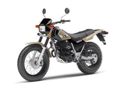 Yamaha_tw200_2018_1.jpg