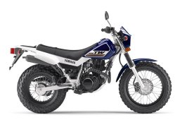 Yamaha_tw200_2017_4.jpg