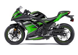 Kawasaki_ninja_300_abs_krt_edition_2017_3.jpg