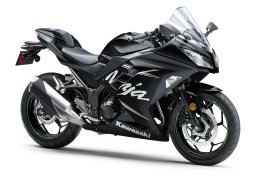 Kawasaki_ninja_300_abs__winter_test_edition_2017_1.jpg