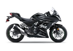 Kawasaki_ninja_300_abs__winter_test_edition_2017_2.jpg