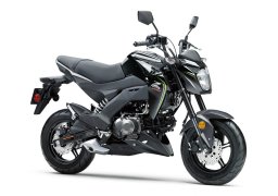 Kawasaki_z125_pro_2018_1.jpg