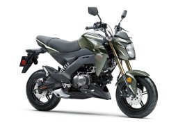 Kawasaki_z125_pro_2018_4.jpg