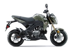 Kawasaki_z125_pro_2018_5.jpg