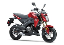 Kawasaki_z125_pro_2018_7.jpg