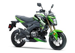 Kawasaki_z125_pro_krt_edition_2018_1.jpg