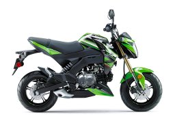Kawasaki_z125_pro_krt_edition_2018_2.jpg