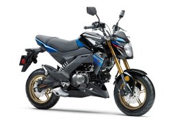 Kawasaki_z125_pro_se_2018_1.jpg