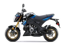 Kawasaki_z125_pro_se_2018_3.jpg