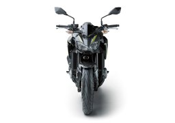 Kawasaki_z900_abs_2018_1.jpg
