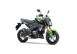 Kawasaki-Z125-PRO-KRT-REPLICA-2018-1.jpg