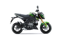 Kawasaki-Z125-PRO-KRT-REPLICA-2018-2.jpg