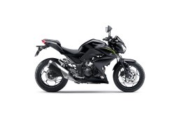 Kawasaki-Z300-2018-3.jpg