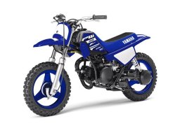 Yamaha_pw50_2018_1.jpg