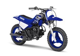 Yamaha_pw50_2018_2.jpg