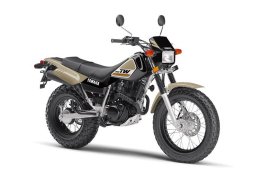 Yamaha_tw200_2018_2.jpg