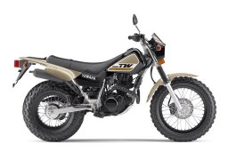 Yamaha_tw200_2018_4.jpg