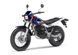 Yamaha_tw200_2017_1.jpg