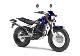Yamaha_tw200_2017_2.jpg